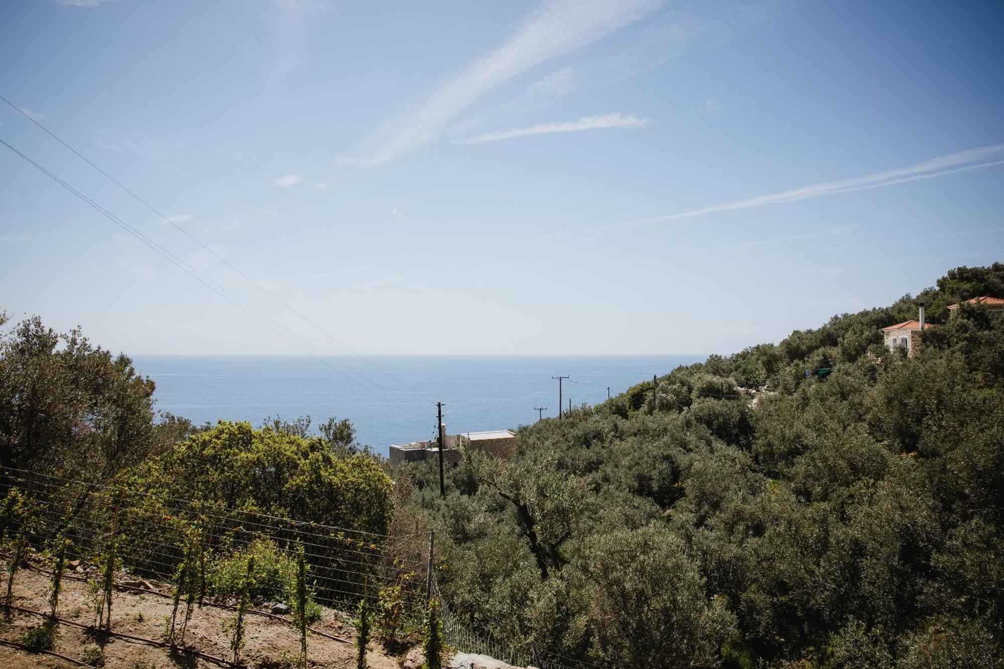 Five Olive Dream Trip Villa Plomari Luaran gambar
