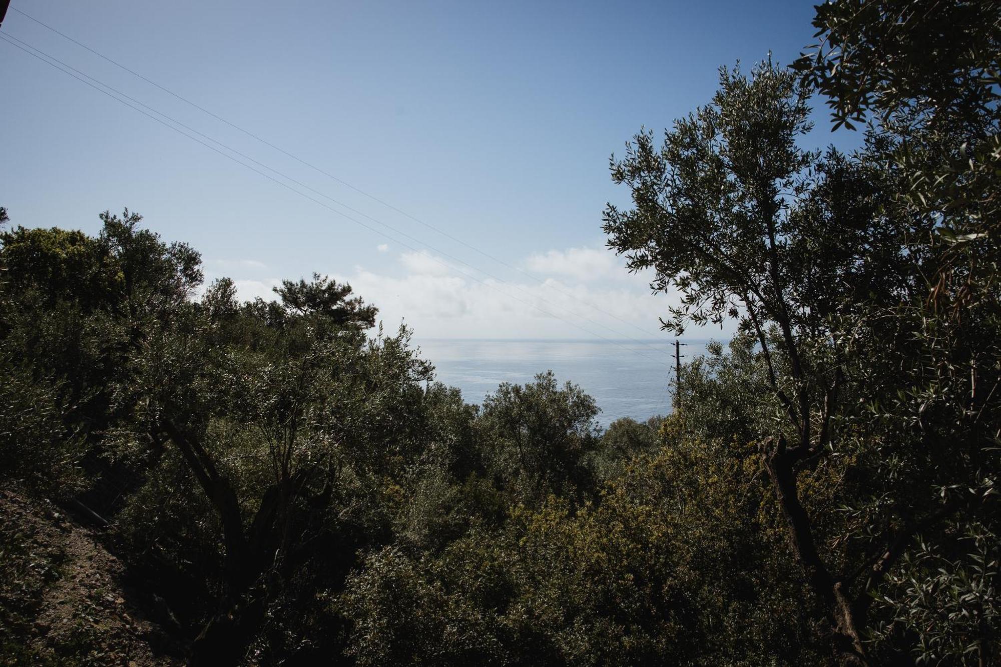 Five Olive Dream Trip Villa Plomari Luaran gambar