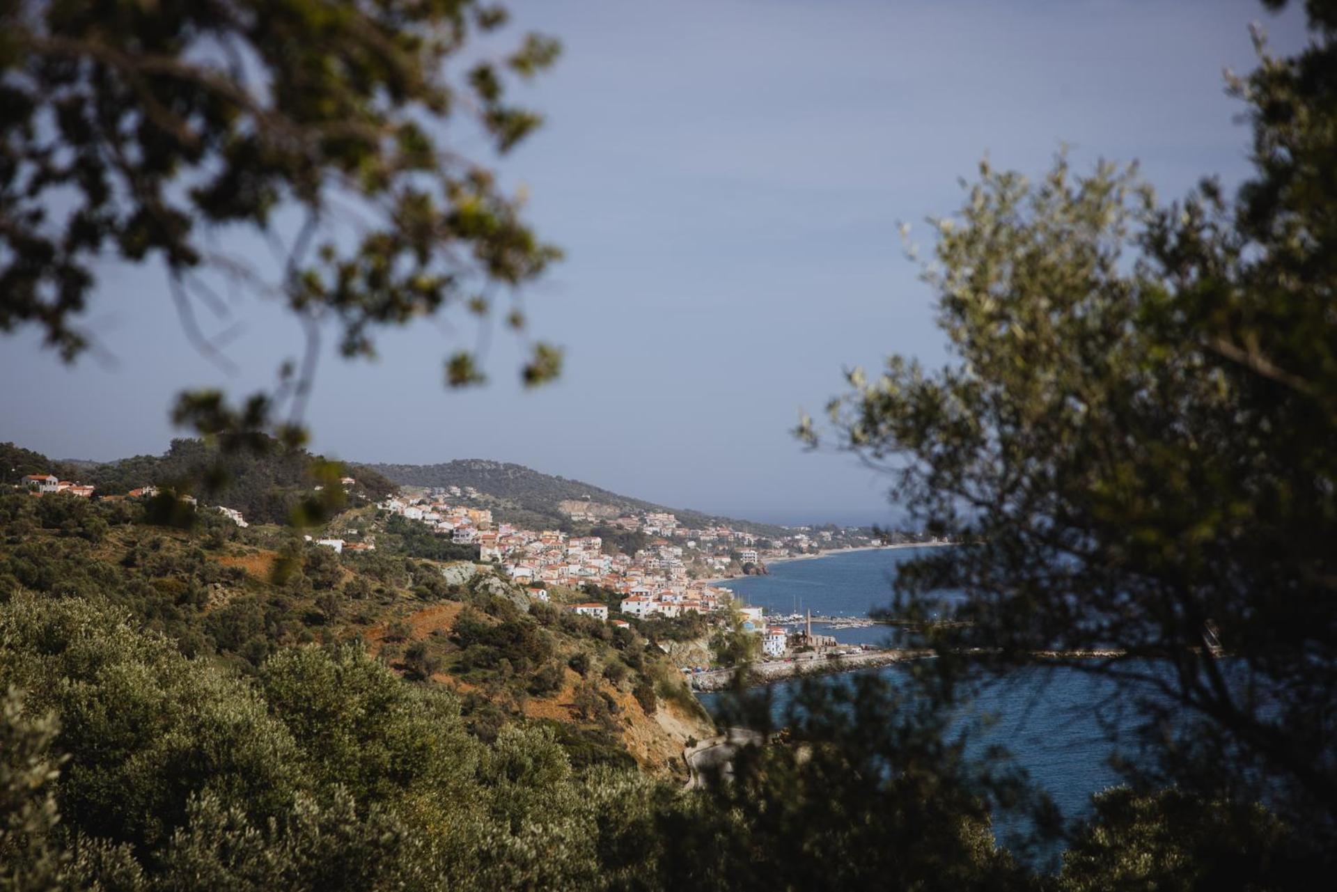 Five Olive Dream Trip Villa Plomari Luaran gambar